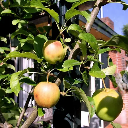 Vakantiehuis De Krukel *