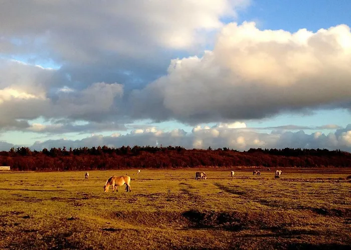 Nyaraló De Krukel *