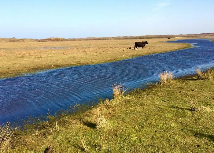 De Krukel * Westermient