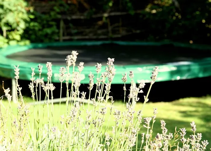 De Krukel Nyaraló Westermient