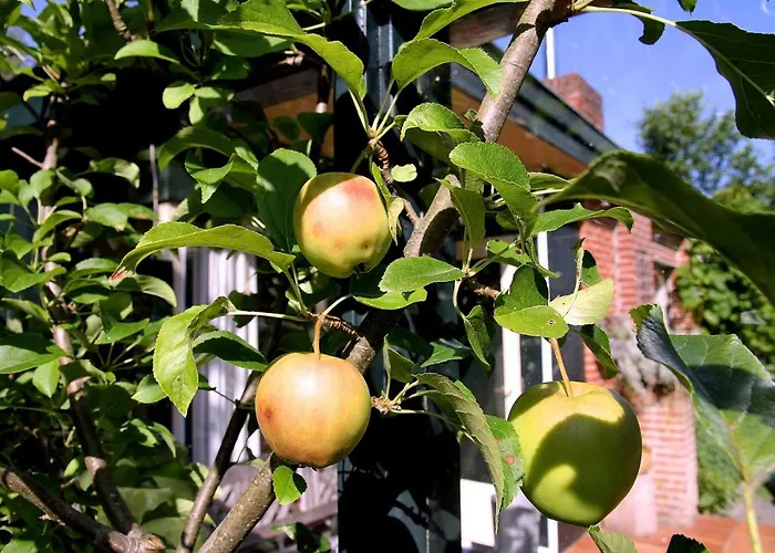 Nyaraló De Krukel *