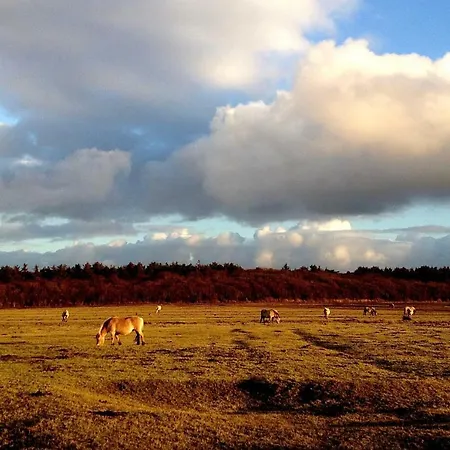 Сasa de vacaciones De Krukel *