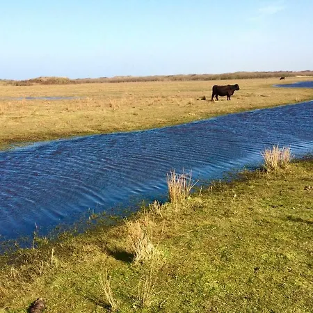 De Krukel * Westermient