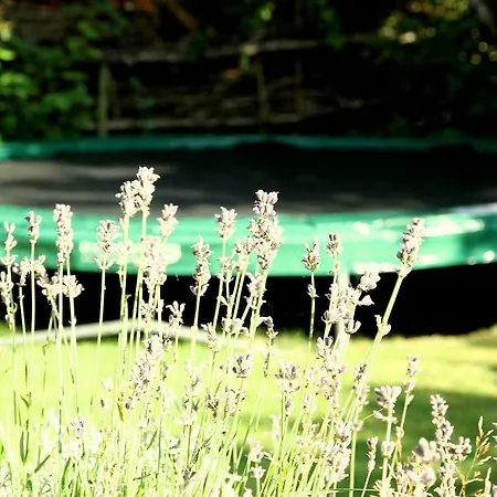 De Krukel Сasa de vacaciones Westermient